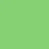 Варіаційне зображення для 05 LIGHT GREEN Варіаційне зображення для 05 LIGHT GREEN