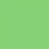 Изображение вариации для 05 LIGHT GREEN Изображение вариации для 05 LIGHT GREEN