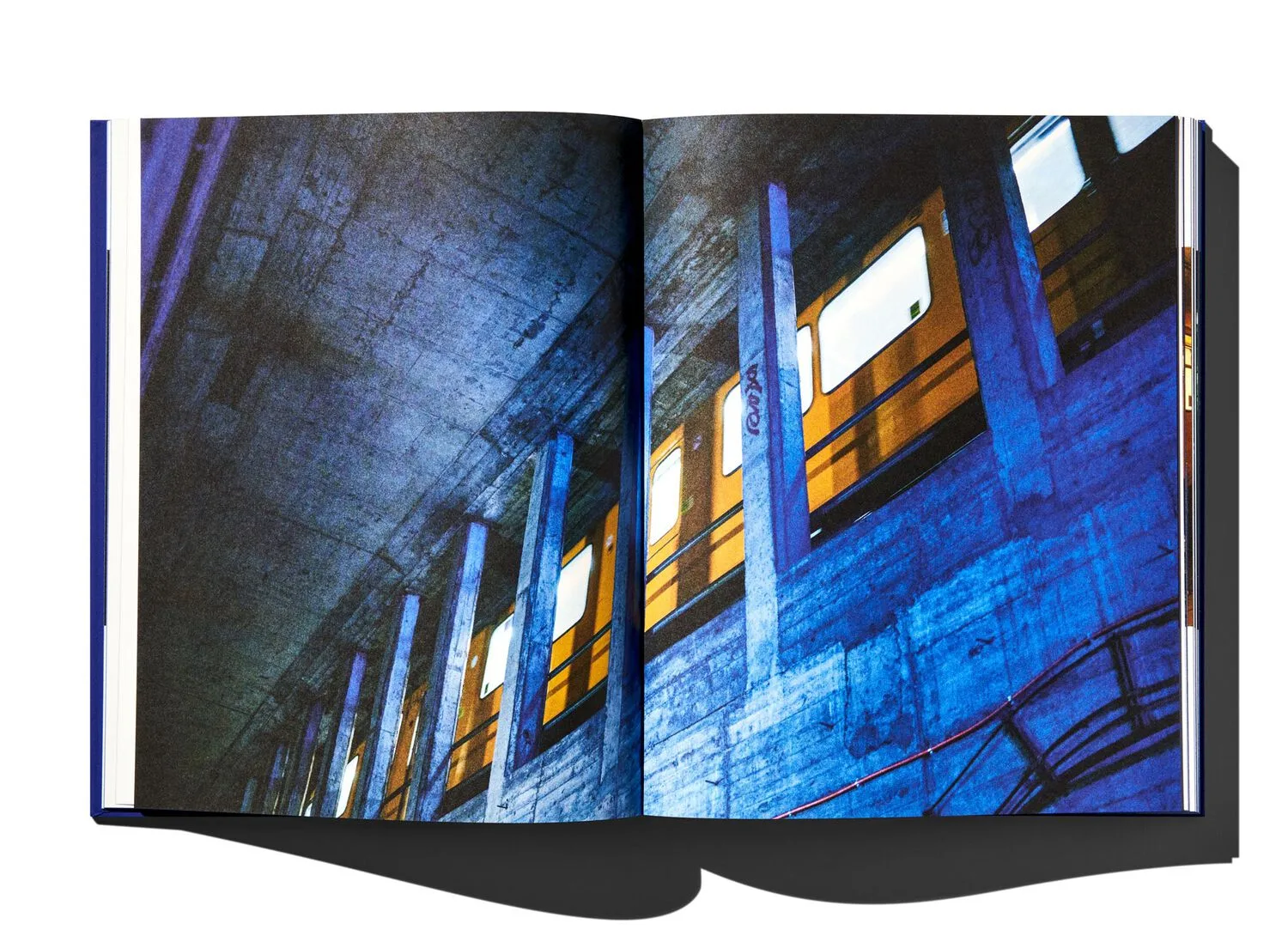 Книга Depicting Recent Memories