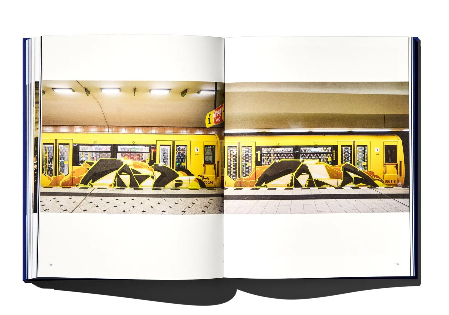 Книга Depicting Recent Memories