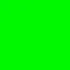 Варіаційне зображення для Fluo Green Варіаційне зображення для Fluo Green