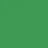Изображение вариации для 06 Glitter Green Изображение вариации для 06 Glitter Green