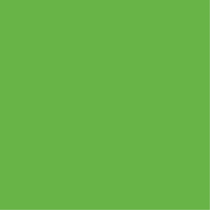 Изображение вариации для Brilliant Light Green Изображение вариации для Brilliant Light Green